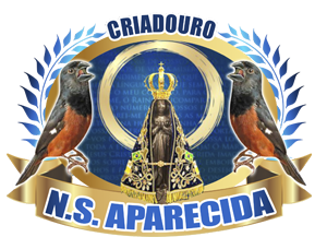 Vídeos | Criatório NS Aparecida - Curió Praia Clássico - Goiânia